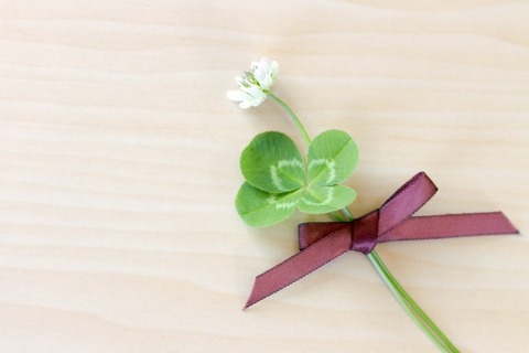 アメリカ妊娠日記 妊娠後期 臨月 の検診 2 5回目 35週6日 38週5日 Sf Clip