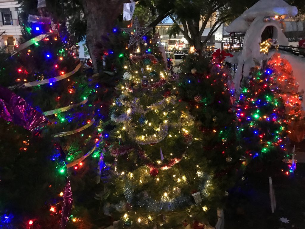 【サンノゼ】ツリーも遊園地も楽しめる大規模なクリスマスイベント ＃Christmas In The Park SF CLIP